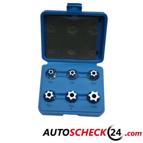 Torx Steckschlüssel Satz 1/2"