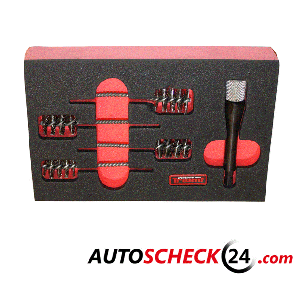 5 tlg. Injektorschacht-Reinigungsbürsten-Satz