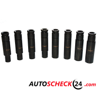 Sechskant Stecknuss Schlagschrauber Set1/2" mit Gelenk